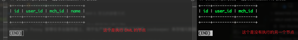 ShardingSphere Proxy 元数据不一致